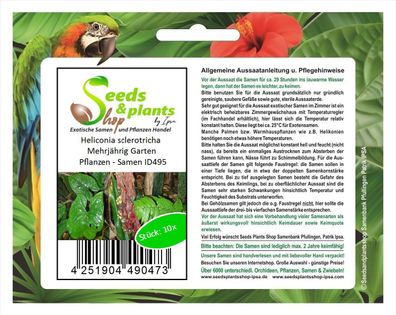 10x Heliconia sclerotricha Mehrjährig Garten Pflanzen - Samen ID495