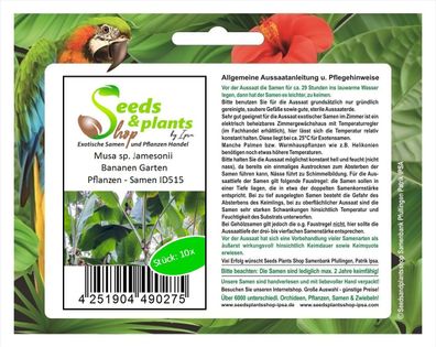 10x Musa sp. Jamesonii Bananen Garten Pflanzen - Samen ID515