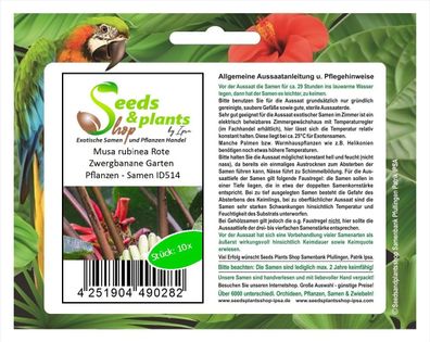 10x Musa rubinea Rote Zwergbanane Garten Pflanzen - Samen ID514