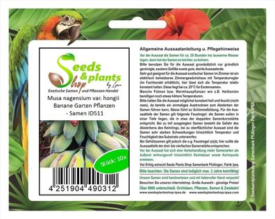 10x Musa nagensium var. hongii Banane Garten Pflanzen - Samen ID511