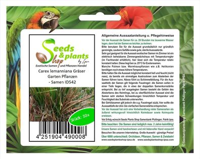 10x Carex lemanniana Gräser Garten Pflanzen - Samen ID542