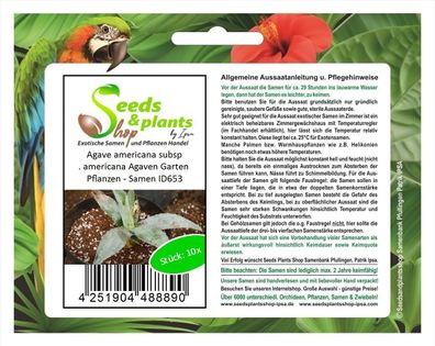 10x Agave americana subsp. americana Agaven Garten Pflanzen - Samen ID653