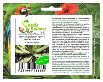 10x Agave angustiarum Agaven Garten Pflanzen - Samen ID656