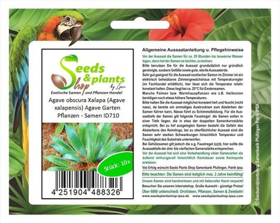 10x Agave obscura Xalapa (Agave xalapensis) Agaven Garten Pflanzen - Samen ID710