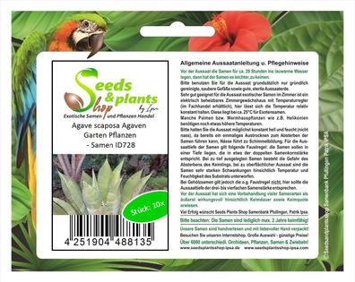 10x Agave scaposa Agaven Garten Pflanzen - Samen ID728