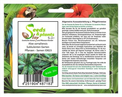 10x Aloe somaliensis Sukkulenten Garten Pflanzen - Samen ID823