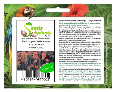 10x Aloe elegans Sukkulenten Garten Pflanzen - Samen ID781