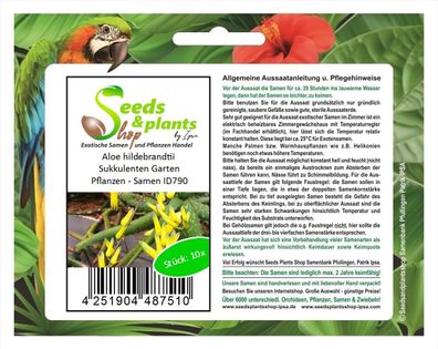 10x Aloe hildebrandtii Sukkulenten Garten Pflanzen - Samen ID790