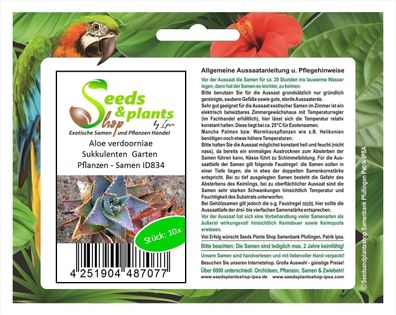 10x Aloe verdoorniae Sukkulenten Garten Pflanzen - Samen ID834