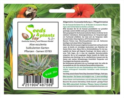 10x Aloe esculenta Sukkulenten Garten Pflanzen - Samen ID783