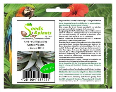 10x Aloe reitzii Reitz Aloe Garten Pflanzen - Samen ID816