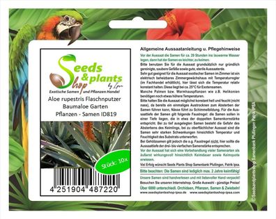 10x Aloe rupestris Flaschnputzer Baumaloe Garten Pflanzen - Samen ID819