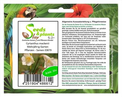 10x Cyrtanthus mackenii Mehrjährig Garten Pflanzen - Samen ID879