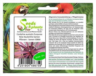 10x Cordyline australis Purpurea Rote Keulenlilie Garten Pflanzen - Samen ID866