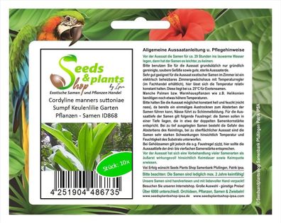 10x Cordyline manners suttoniae Sumpf Keulenlilie Garten Pflanzen - Samen ID868