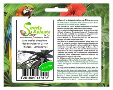 10x Aloe excelsa Zimbabwe Aloe Sukkulenten Garten Pflanzen - Samen ID784