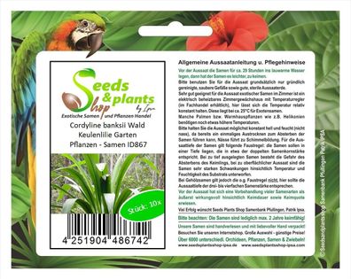 10x Cordyline banksii Wald Keulenlilie Garten Pflanzen - Samen ID867