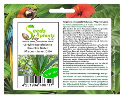 10x Cordyline neocaledonica Keulenlilie Garten Pflanzen - Samen ID870