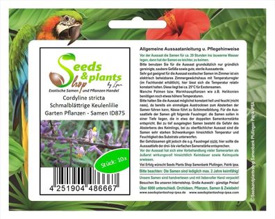 10x Cordyline stricta Schmalblättrige Keulenlilie Garten Pflanzen - Samen ID875