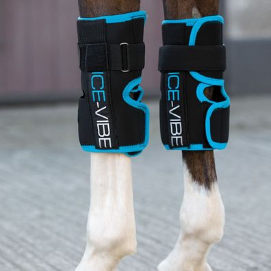 Horseware Ice Vibe LED für das Vorderfußwurzelgelenk / Knee Wrap