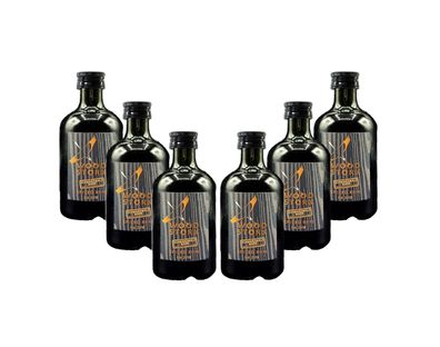 Wood Stork 6er Set Spiced Rum 6x 0,1L (40% Vol) Schwarzwald Rum Miniatur - [Ent