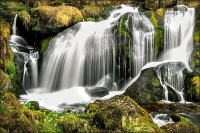Muralo VINYL Fototapete XXL TAPETE Wasserfall im Wald 661