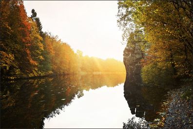 Muralo VINYL Fototapete XXL TAPETE Natur Wald Fluss Herbst Sonne 1150