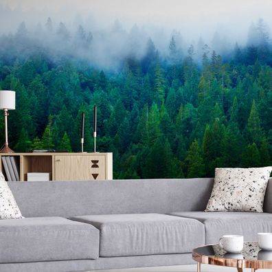 Muralo VINYL Fototapete XXL TAPETE Natur Wald Nebel Himmel Bäume 1765