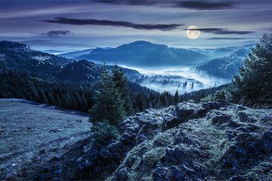 Muralo VINYL Fototapete XXL TAPETE Wald im Nebel Gebirge Bäume Felsen 2342