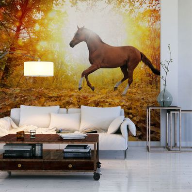 Muralo VINYL Fototapete XXL TAPETE dekorativ Pferd im herbstlichen Wald 3047
