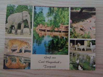 6289 Postkarte, Ansichtskarte- Carl Hagenbecks Tierpark Hamburg