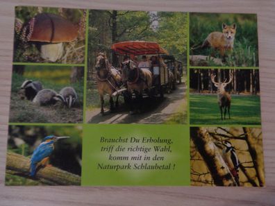 6360 Postkarte, Ansichtskarte- Naturpark Schlaubetal