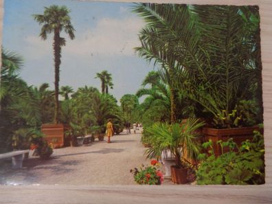 6364 Postkarte, Ansichtskarte- Weltbad Pyrmont - Palmengarten
