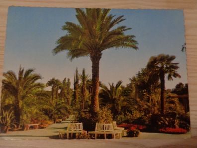 6370 Postkarte, Ansichtskarte -Bad Pyrmont-Palmengarten
