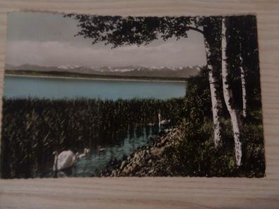 6382 Postkarte, Ansichtskarte -Ammersee -Idyll am Westufer