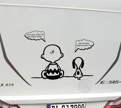 Aufkleber Snoopy Charly ca 110x80cm S086TD Wunschfarbe Wohnmobil Wohnwagen Bus