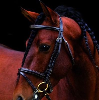 Horseware Amigo Deluxe Bridle- black