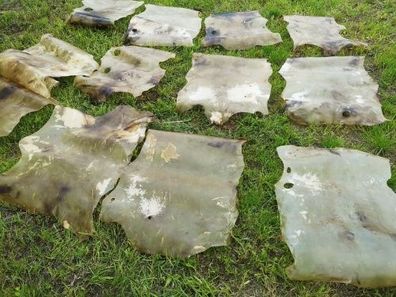 Echte Rohhaut Pergament Rohleder vom Reh Ritter Wikinger Schild TrommellederLarp