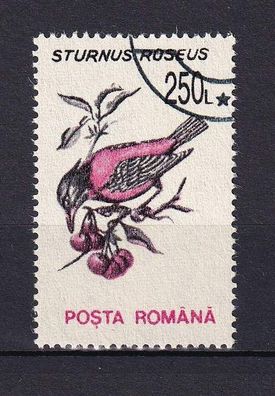 Motiv - Vogel Rosenstar - (Rumänien) - gestempelt