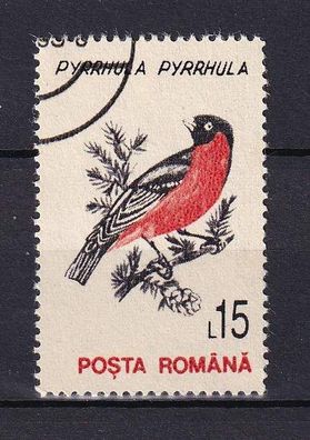 Motiv - Vogel - Gimpel - (Rumänien) - gestempelt