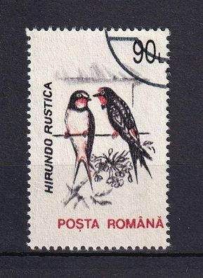 Motiv - Vogel - Rauchschwalbe (Hirundo rustica) - (Rumänien) - gestempelt