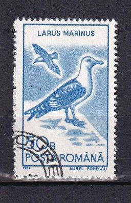 Motiv - Vogel - Mantelmöwe (Larus marinus) - (Rumänien) - gestempelt
