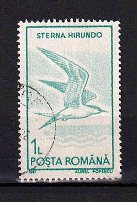 Motiv - Vogel - Flußseeschwalbe (Sterna hirundo) - (Rumänien) - gestempelt