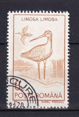 Motiv - Vogel - Uferschnepfe (Limosa limosa ) - (Rumänien) - gestempelt