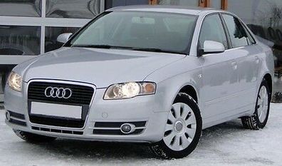 Kotflügel in Wunschfarbe Lackiert passend für Audi A4 B7 2004-2008 Verzinkt