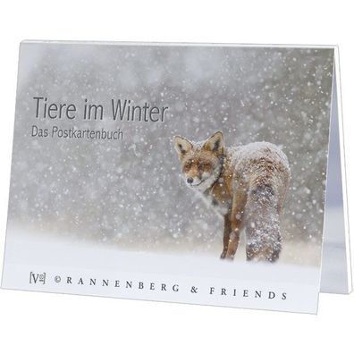 Postkartenbuch Tiere im Winter Postkartenbücher Ansichtskarte Postkarte Tier Schnee