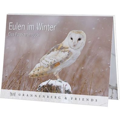 Postkartenbuch Eulen im Winter Postkartenbücher Ansichtskarte Postkarte Tier Eule