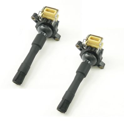 2 Zündspulen, Zündmodule FÜR BMW - 3ER, 5ER ,7ER, X5 - OE 1748017