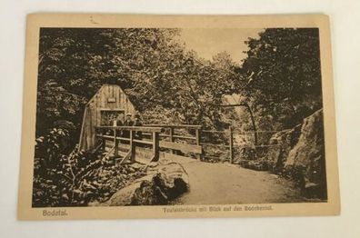 ansichtskarten, Bodetal, Teufelsbrücke, Blick auf Bodekessel (40038 BW)