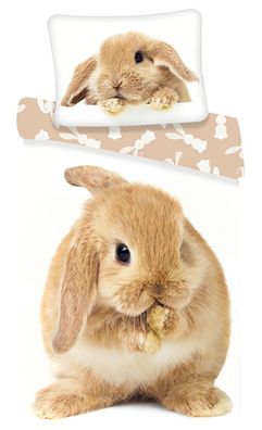 Bettwäsche Bettbezug Kaninchen 140 x 200 + 70 x 90 cm, 100% Baumwolle mit Reißve